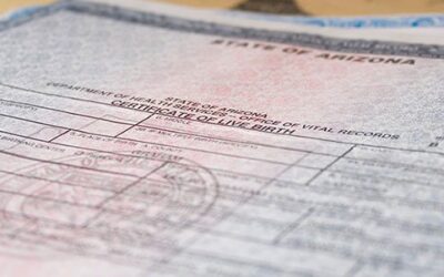 The “Adoption Certificate” Process: What People Really Mean