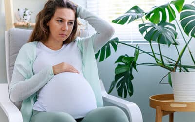 Top Adoption Questions We Hear Most Often